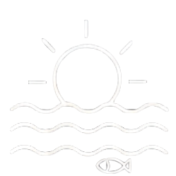 海